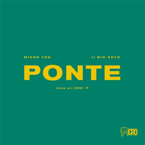 Disco Ponte de Micro TDH